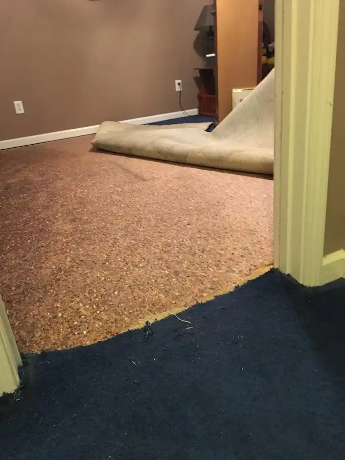Carpet pad removal revealing water damage during Water Mitigation Services in Yarmouth